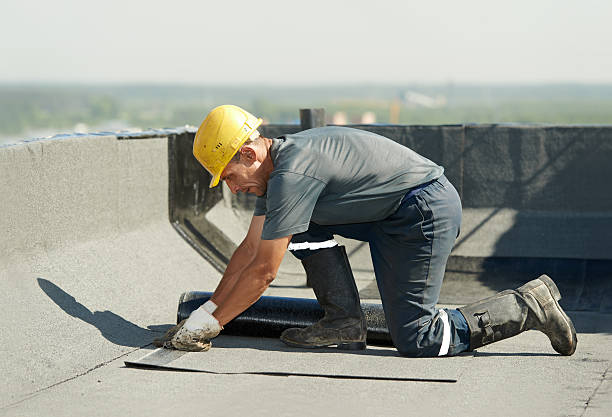 Best Insulation Contractor Near Me  in Phillipsburg, KS